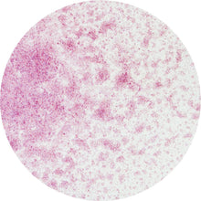 Load image into Gallery viewer, Nuvo - Mica Mist - Oriental Fuchsia- 564n