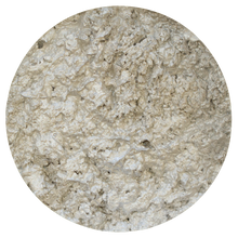 Load image into Gallery viewer, Nuvo - Embellishment Mousse - Pure Platinum - 803n - tonicstudios