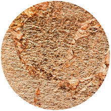 Load image into Gallery viewer, Nuvo - Gilding Flakes - Sunkissed Copper (200ml) - 852n - tonicstudios