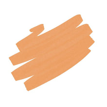 Load image into Gallery viewer, Nuvo Pens and Pencils Nuvo - Single Marker Pen Collection - Butternut Squash - 391n