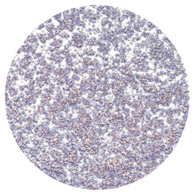 Load image into Gallery viewer, Nuvo - Sparkle Spray - Lavender Lining - 1662n
