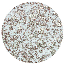 Load image into Gallery viewer, Nuvo - Sparkle Spray - Cocoa Powder - 1665n
