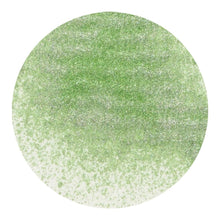 Load image into Gallery viewer, Nuvo - Sparkle Spray - Wispy Willow - 1671n
