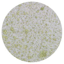 Load image into Gallery viewer, Nuvo - Mica Mist - Wild Olive - 566n
