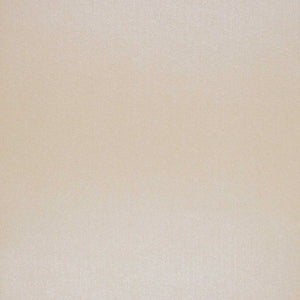 Craft Perfect - Pearlescent Card - Coffee Cream - 8.5" x 11" (5/PK) - 9549E