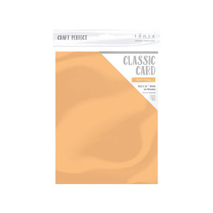 Craft Perfect - Weave Textured Classic Card - Apricot Orange - 8.5"x11" (10/PK) - 9668e