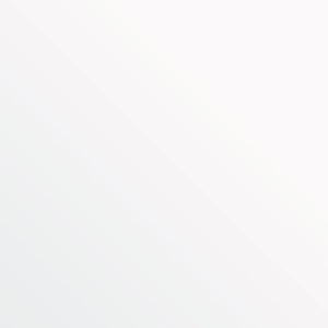 Vellum Paper - Pure White - 8.5"x11" (10/PK) - 100GSM - 9936E