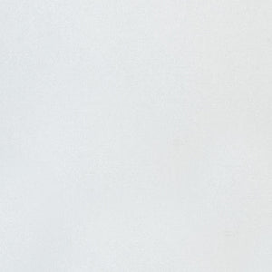 Vellum Paper - Pearled Silver - 8.5"x11" (10/PK) - 100GSM - 9937E