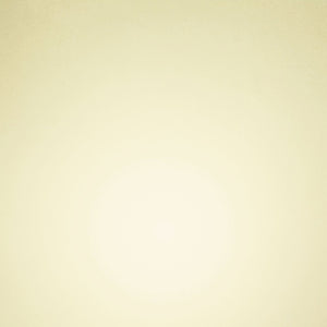 Vellum Paper - Pearled Gold - 8.5"x11" (10/PK) - 100GSM - 9938E